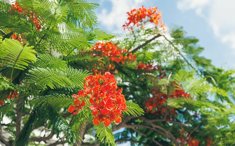 सुविधाजनक आवागमन और पार्किंग की सुविधा उपलब्ध है।