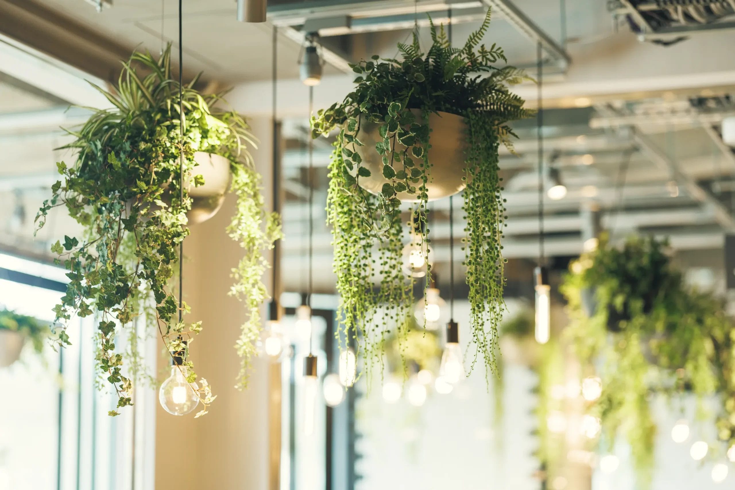 落ち着きのある照明演出