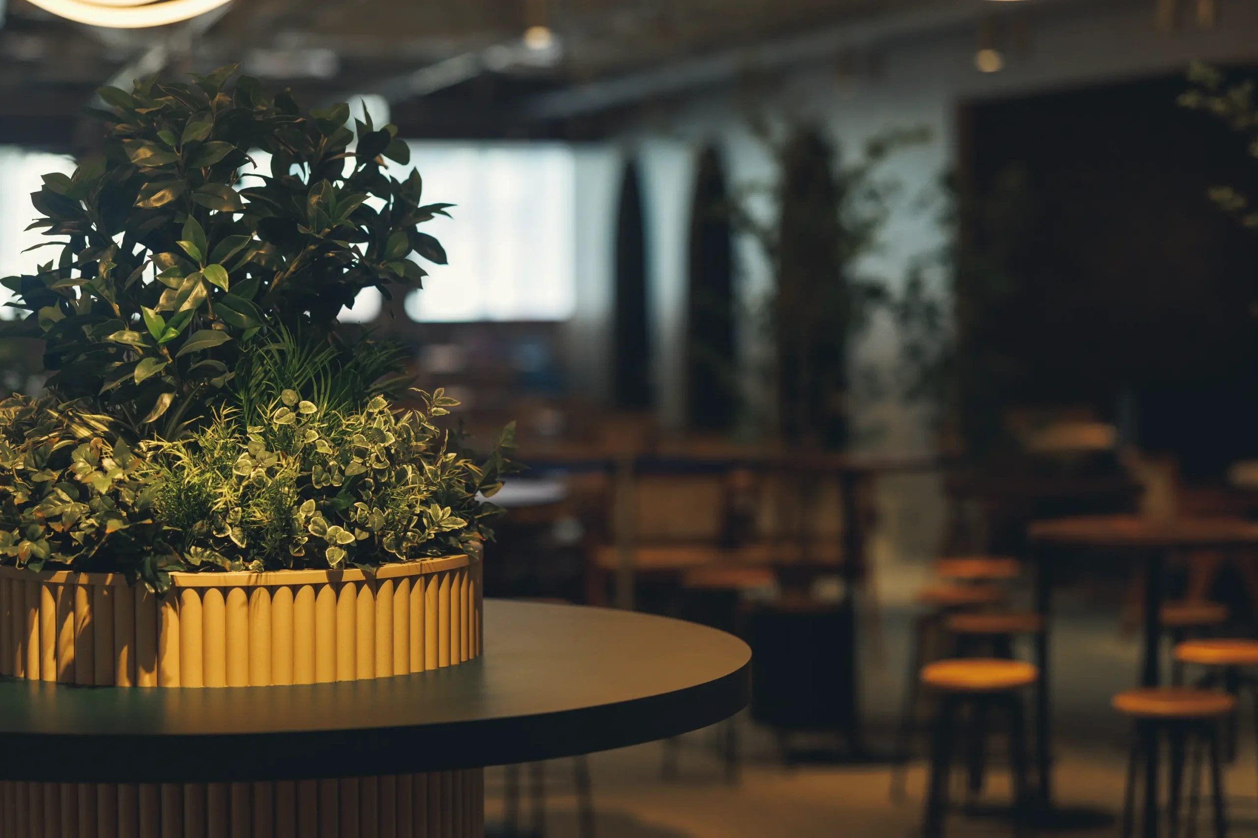 多彩な味覚が一堂に集う食の新空間